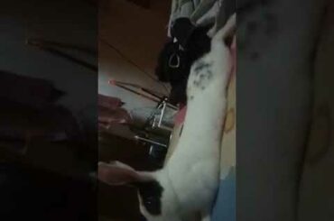 Our cute rabbit 🐇 boss 😎😎😎😎😎😎😎😎😎😎😎😎😎😎😎😎😎😎😎😎😎😎😎😎