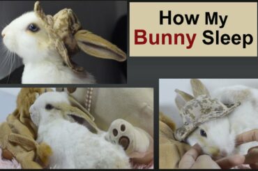 Sleeping bunny after a relaxing massage- Cute Sunny Cow Boy