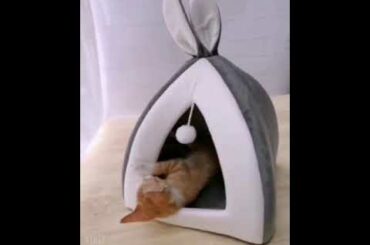 CUTE RABBIT EARS PET HOUSE