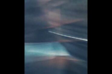 Playing with the cutest rabbit ❤️❤️