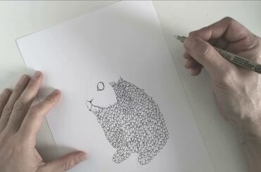 Cute bunny drawing