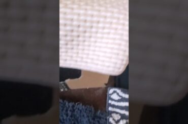 When you try to make a cute bunny video as a disabled child