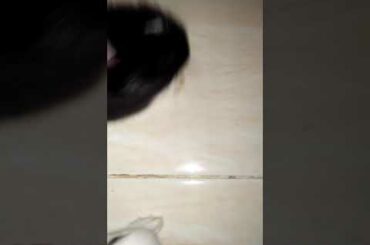 The cute Rabbit's:-)