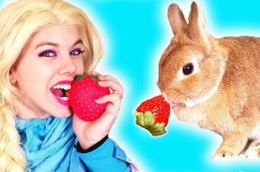 SQUISHY vs REAL Food!!  w/ Cute Funny Rabbit eating strawberry 😉