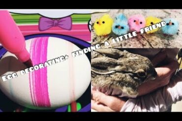 MY EASTER WEEKEND!! + we find a bunny in our backyard!!!