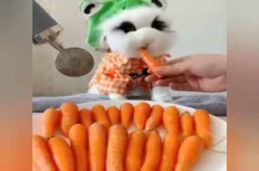 Funny cute bunny video compilation 2020