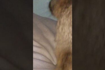 Accidentally Scared Cute Rabbit (could get copyrighted)