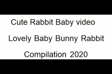 Cute Rabbit Baby Video,Lovely Baby Bunny Rabbit Compilation April 2020
