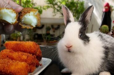 melt in your mouth fried milk Recipe by baby rabbit  2020 شهيوات رمضان  揚げた牛乳 レチェ・フリータの作り方