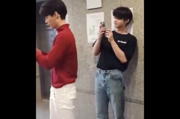 Moment bright x win ' wolf bunny..always cute '