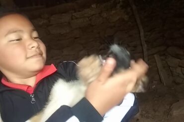 We will see dog , big hen , small hen , baby rabbit  and big rabbit 💞❤️