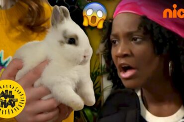 She Has A Fear Of Cute Bunnies! 🐰| All That