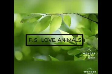 The cutest little baby of rabbit and the mother and father 😍😍😍😍😍