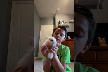 My new bunny is so cute