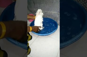 Cute rabbit bath time 🤗🐰