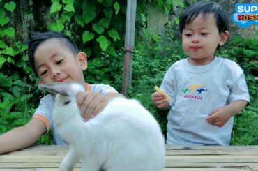 Cute white bunny and Kids stories | kelinci kesayangan | Super Roshan