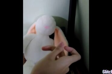 Cute bunny[Glichy video]