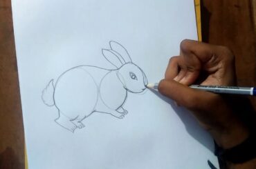 How to draw a rabbit 🐰 / easy drawing of rabbit for children / simple drawing