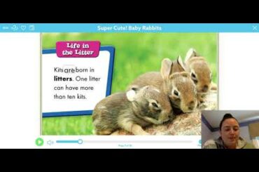 Super Cute! Baby Rabbits