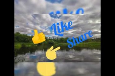 Cute Rabbit Caught Cleaning Itself | Cute Animals