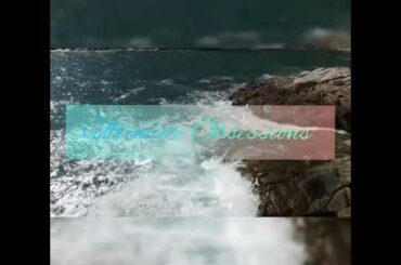 Cute Rabbit Caught Cleaning Itself | Cute Animals