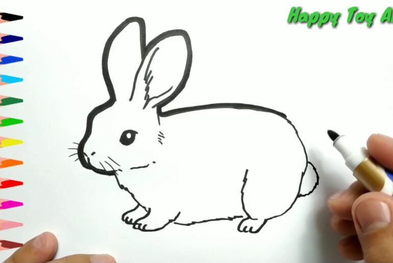 VERY EASY, learn how to draw  Cute rabbit  / drawing and coloring for kids