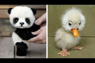 Cute baby animals Videos Compilation cutest moment of the animals - Soo Cute! #13