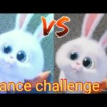 cute bunny dance challenge