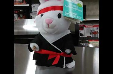 Cute bunny sings and does karate