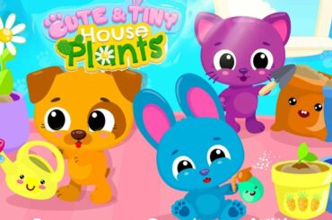 Cute & Tiny House Plants - Mini Home Garden