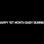 Happy 1st Month Baby Bunnies