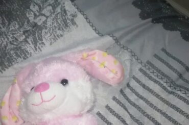 Cute Bunny Singing Jesus loves me