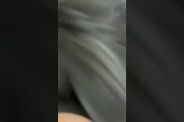 Cute and Adorable Bunny!