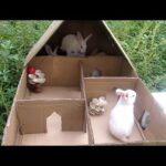 Funny baby's..  rabbit cute baby house
