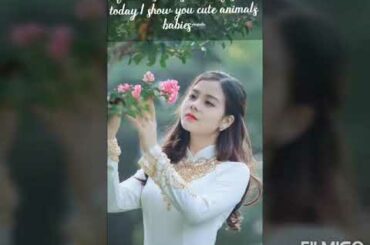 Cute animals babies.