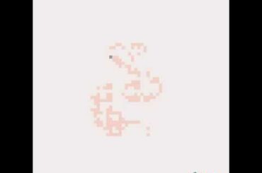 Cute little bunny 🐰 rabbit