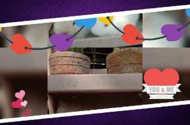 My Cute Pair Bunnies