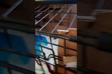 My little cute Bunny Rabbit 🐰 TRIX!