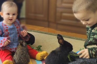 Cute Baby with Older Brother Being fed Little Rabbits!
