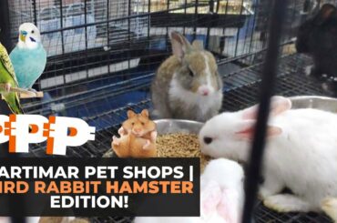 CARTIMAR Pet Shops Price Update | BIRDS RABBIT HAMSTER EDITION!
