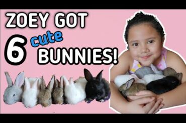 BEST PETS FOR KIDS - CUTE RABBITS!