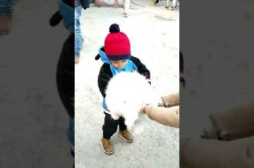 Baby fun with rabbit