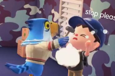 Best/Funniest Animal Crossing New Horizons Clips #14