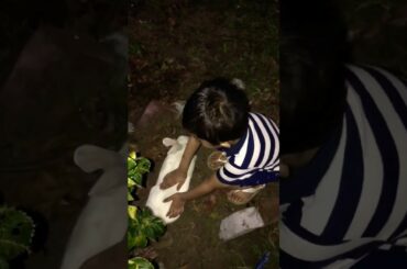 Vivan playing with rabbit 🐇 or bunny