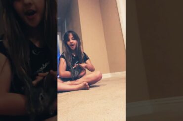 Showing you my new baby bunny 🐰