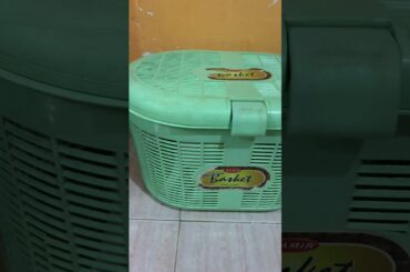 My cute Rabbit 🐇 trying to come out from basket. Funny bunny. खरगोशकी बास्केट से बाहर आने की कोशिष.