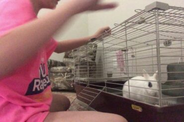 Playing with my rabbit 🐇