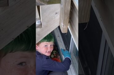 Cutest Bunny Rescue Mission!(:(: