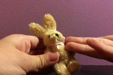 Cute Little Bunny Unboxing!