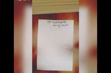 Cute baby rabbit || spring series